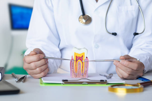 Best Emergency Treatment for Jaw Pain or Injury in Johnsonburg, PA