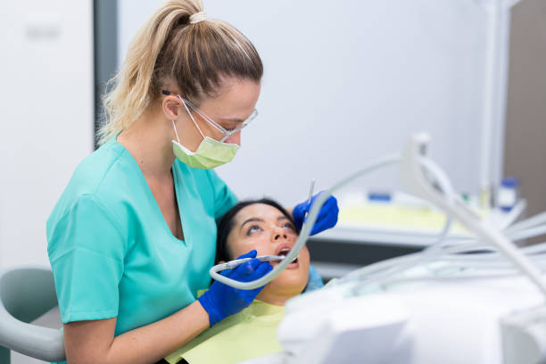 Best Emergency X-Rays and Diagnostics in Johnsonburg, PA